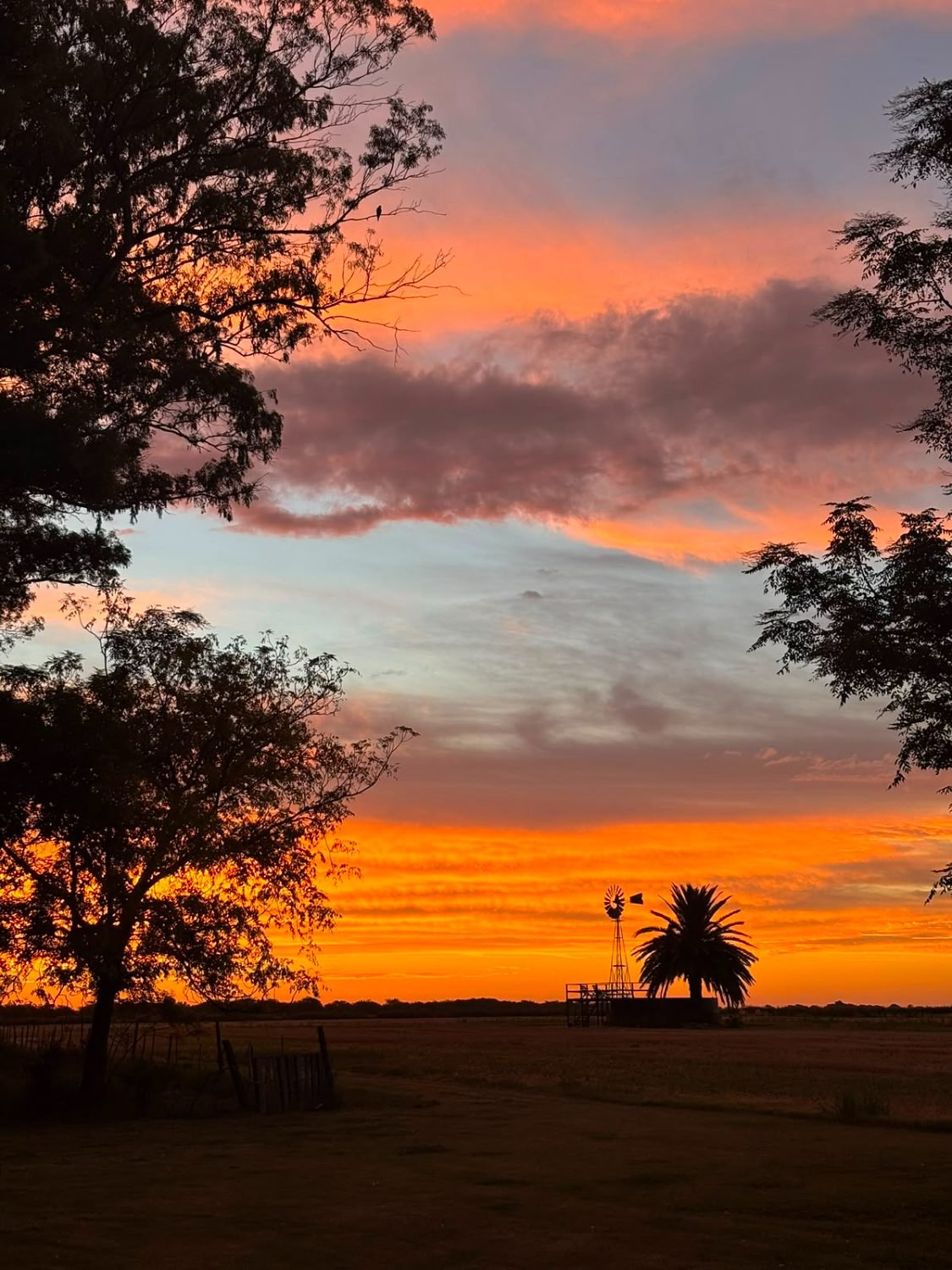 Cielo naranja al atardecer con el molino en silueta