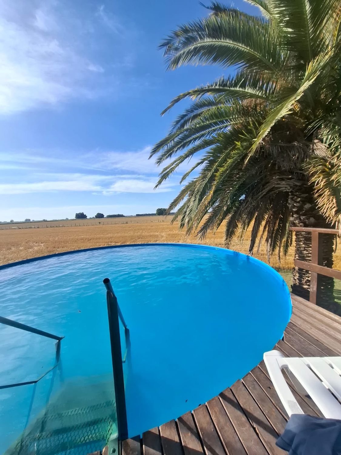 Pileta con deck de madera y palmera