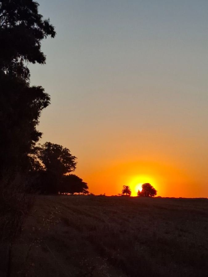 Sol al ras del horizonte sobre el campo